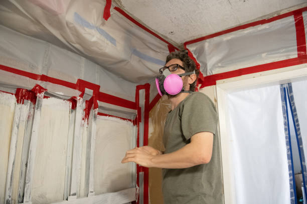 Best Environmental Consulting for Mold Prevention  in Centerfield, UT