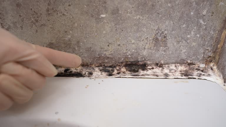 Best Biohazard Mold Removal  in Centerfield, UT